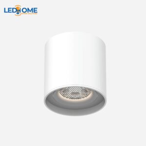Đèn Ray Nam Châm Ống Bơ 2 in 1 GSNCTOB6